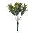 Folhagem Artificial Podocarpus Verde com Powder 27cm - Imagem 1