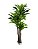 Planta Árvore Artificial Dracena Real Toque Verde 2m - Imagem 1