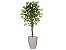 Planta Artificial Ficus Verde 1,50 kit + Vaso S. Bege 30 cm - Imagem 1