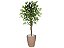 Planta Artificial Ficus Verde 1,50 kit + Vaso E. Bege 30 cm - Imagem 1