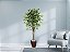 Planta Artificial Ficus Verde 1,50 kit + Vaso S. Marrom 30 cm - Imagem 2