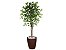 Planta Artificial Ficus Verde 1,50 kit + Vaso S. Marrom 30 cm - Imagem 1