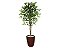 Planta Artificial Ficus Verde 1,50 kit + Vaso E. Marrom 30 cm - Imagem 1