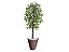 Planta Artificial Ficus Verde 2,10m kit +   Vaso Redondo D. Grafiato Marrom 40cm - Imagem 1