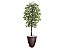 Planta Artificial Ficus Verde 2,10m kit +  Vaso Redondo Marrom 40cm - Imagem 1