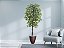 Planta Artificial Ficus Verde 2,10m kit +  Vaso Redondo Marrom 40cm - Imagem 2