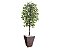 Planta Artificial Ficus Verde 2,10m kit + Vaso Trapezio D. Grafiato Marrom 40cm - Imagem 1