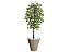 Planta Artificial Ficus Verde 2,10m kit + Vaso Redondo D. Grafiato Bege 40cm - Imagem 1