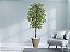 Planta Artificial Ficus Verde 2,10m kit + Vaso Redondo D. Grafiato Bege 40cm - Imagem 2