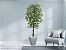 Planta Artificial Ficus Verde 2,10m kit + Vaso Redondo D. Grafiato Cinza 40cm - Imagem 2