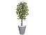 Planta Artificial Ficus Verde 2,10m kit + Vaso Redondo D. Grafiato Cinza 40cm - Imagem 1