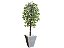 Planta Artificial Ficus Verde 2,10m kit + Vaso Trapezio D. Grafiato Cinza 40cm - Imagem 1