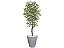 Planta Artificial Ficus Verde Creme 2,10m kit + Vaso Redondo D. Grafiato Cinza 40cm - Imagem 1