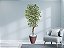 Planta Artificial Ficus Verde Creme 2,10m kit + Vaso Redondo D. Grafiato Marrom 40cm - Imagem 2