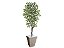 Planta Artificial Ficus Verde Creme 2,10m kit + Vaso Trapezio D. Grafiato Bege 40cm - Imagem 1