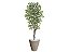 Planta Artificial Ficus Verde Creme 2,10m kit + Vaso Redondo D. Grafiato Bege 40cm - Imagem 1