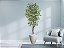 Planta Artificial Ficus Verde Creme 2,10m kit + Vaso Redondo Cinza 40cm - Imagem 2