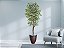 Planta Artificial Ficus Verde Creme 2,10m kit + Vaso Redondo Marrom 40cm - Imagem 2