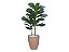 Planta Árvore Artificial Ficus Lyrata Real Toque Verde 1m Kit + Vaso E. Bege 30 cm - Imagem 1