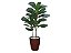 Planta Árvore Artificial Ficus Lyrata Real Toque Verde 1m Kit + Vaso E. Marrom 30 cm - Imagem 1