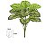 Planta Árvore Artificial Calathea Real Toque Verde 45cm - Imagem 1