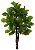 Planta Árvore Artificial Ficus Lyrata Real Toque X78 Verde 1,3m - Imagem 1