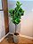 Planta Árvore Artificial Ficus Lyrata Real Toque X82 Verde 1,5m - Imagem 5