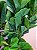 Planta Árvore Artificial Ficus Lyrata Real Toque X82 Verde 1,5m - Imagem 2