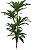 Planta Árvore Artificial Dracena Real Toque X81 Verde 1,25m - Imagem 1