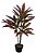 Planta Árvore Artificial Dracena Real Toque C/Pote X49 Vermelho 1,1m - Imagem 1