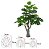Planta Árvore Artificial Costela de Adão Real Toque Verde 1,20m - Imagem 2