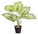 Planta Árvore Artificial Caladium Real Toque C/Raiz X6 Verde Claro 43cm - Imagem 1