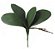 Folhagem Artificial Folha Orquidea Phalaenopsis C/Arame X4 Verde 18cm - Imagem 1