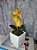 Arranjo De Mini Orquídea Amarela Vaso Branco Quadrado - Imagem 1