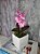Arranjo De Mini Orquídea Rosa Vaso Branco Quadrado - Imagem 1