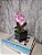 Arranjo De Mini Orquídea Rosa Vaso Preto Quadrado - Imagem 1