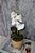 Arranjo De Mini Orquídea Branca Vaso Bege Redondo - Imagem 2