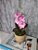 Arranjo De Mini Orquídea Rosa Vaso Bege Redondo - Imagem 2
