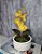 Arranjo De Mini Orquídea Amarela Vaso Bege Claro Redondo - Imagem 2