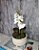 Arranjo De Mini Orquídea Branca Vaso Bege Claro Redondo - Imagem 2