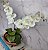 Arranjo Com 2 Orquídeas Branca Vaso Cobre 22cm - Imagem 2
