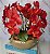 Arranjo Com 4 Orquídeas Vermelha Vaso Fendi 28cm - Imagem 3