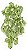 Planta Artificial Pendentes Caladium Verde Creme 48cm - Imagem 1