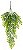 Planta Artificial Pendentes Jasminum Verde 63cm - Imagem 1