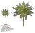Planta Artificial Suculenta Verde Frosted 15cm - Imagem 1