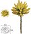 Planta Artificial Suculenta Amarelo 17cm - Imagem 1