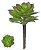 Planta Artificial Suculenta Verde 16cm - Imagem 1