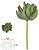 Planta Artificial Suculenta Verde 2T 15cm - Imagem 1