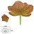 Planta Artificial Suculenta Frosted Laranja Verde 9cm - Imagem 1