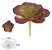 Planta Artificial Suculenta Frosted Vermelho Verde 9cm - Imagem 1